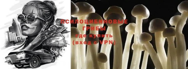 спайс Заводоуковск